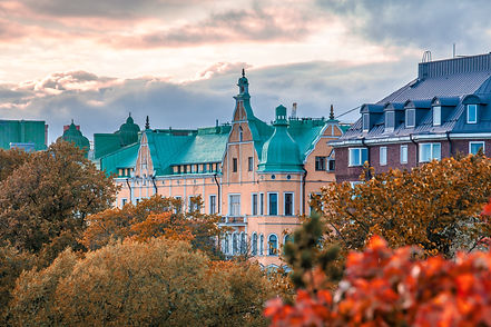 Image by Tapio Haaja