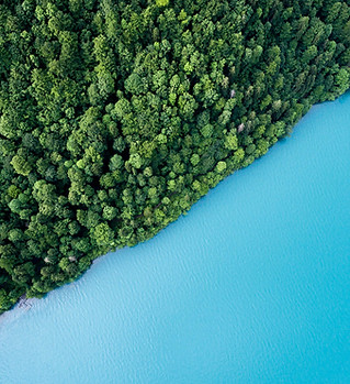 Image by Andreas Gücklhorn