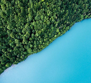 Image by Andreas Gücklhorn