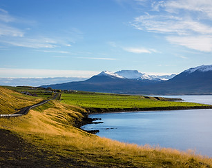 Image by Josh Reid