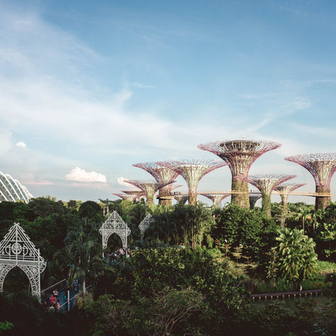 Embracing the Green Revolution: The Crucial Role of Urban Greenery