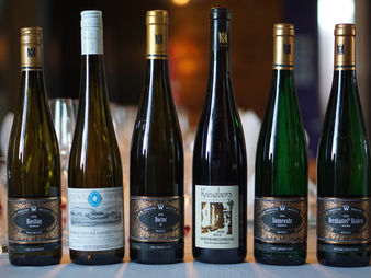 How To Read Wine Labels