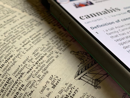 Cannabis Education and Advocacy in Louisiana