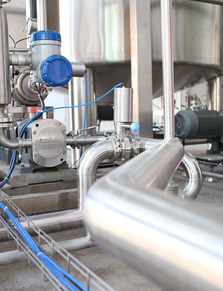 Image by Crystal Kwok