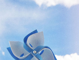Parashat Ekev: The Heel That Sustains, the Heart That Feels, and the Memory That Guides