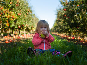 How to Establish Healthy Eating Habits at All Ages