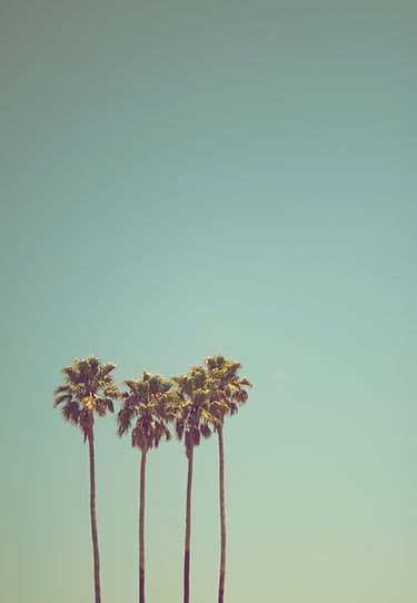 Image by Ev