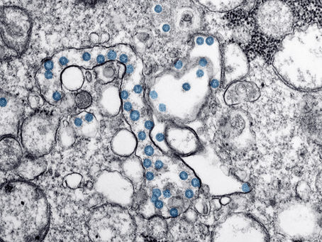 Debunking Covid-19 Myths