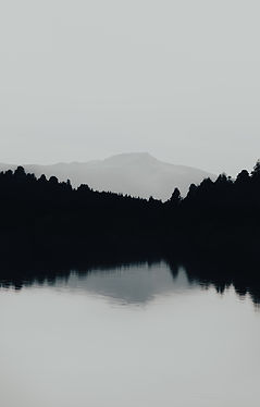 Image by gaspar zaldo