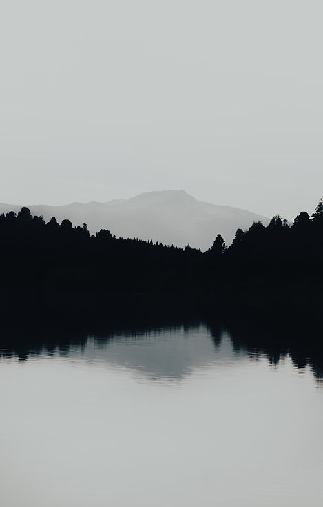 Image by gaspar zaldo
