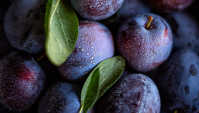 Plum - 'Early Italian' Dwarf Plum Tree