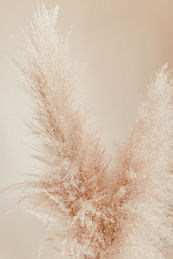 Image by Liana Mikah