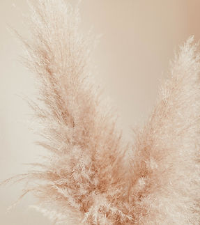 Image by Liana Mikah