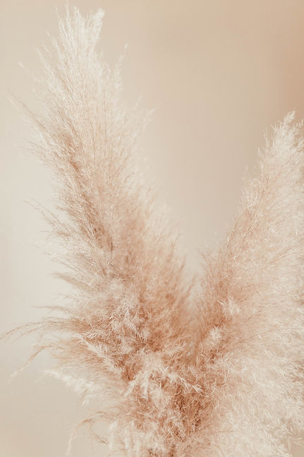 Image by Liana Mikah