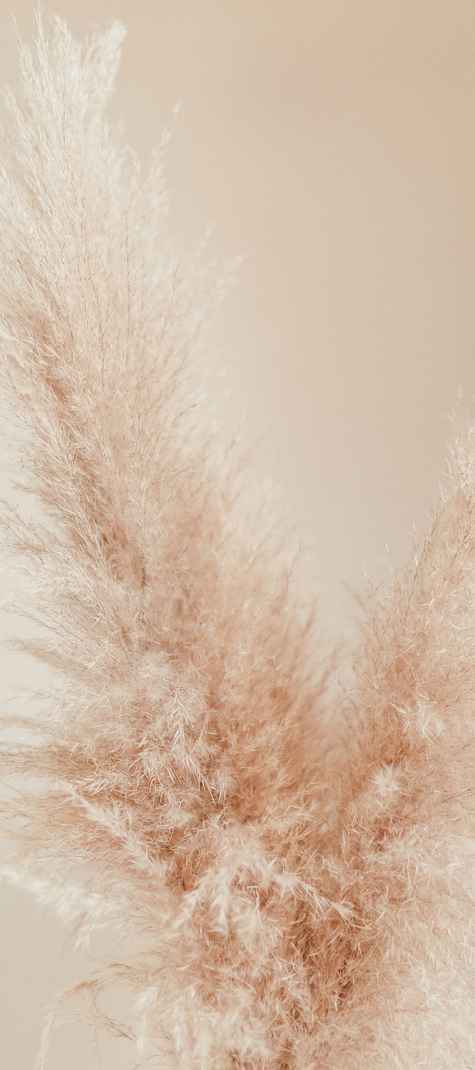 Image by Liana Mikah