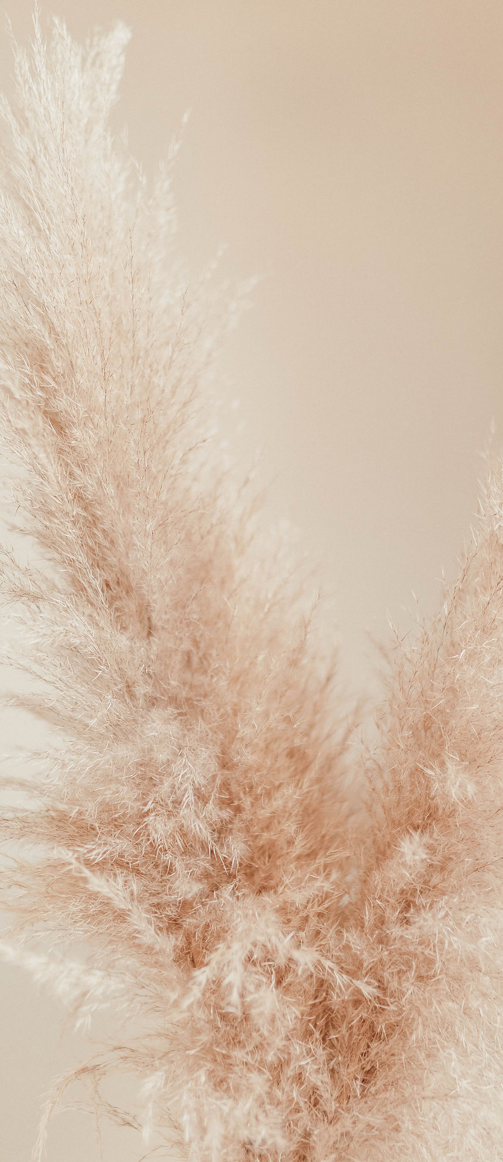 Image by Liana Mikah
