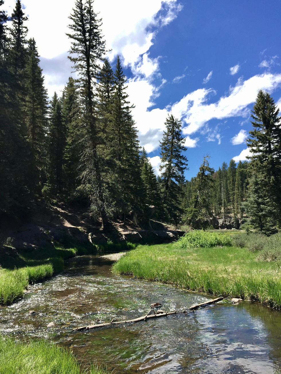 Jemez