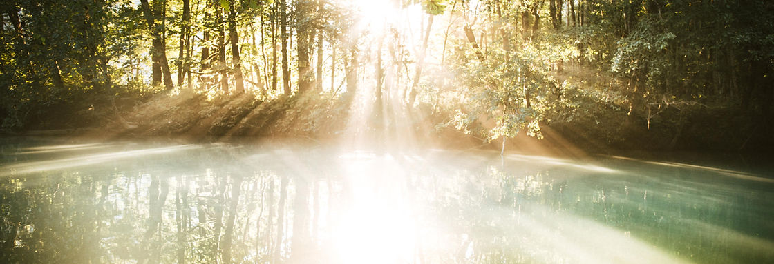 Image by Alex Gorham