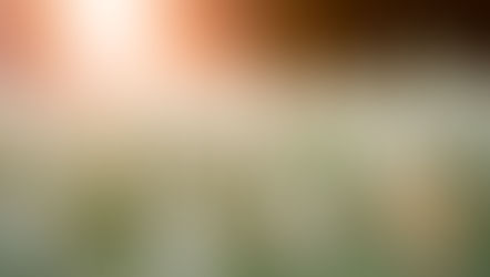 Stepping into the light