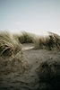 Image by Annie Spratt