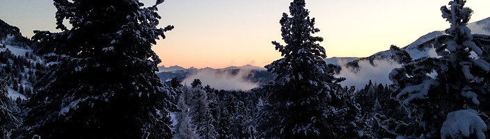 Image by ELISA KERSCHBAUMER