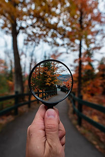 Image by Steven Wright
