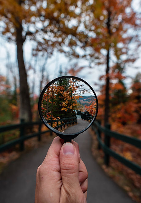 Image by Steven Wright