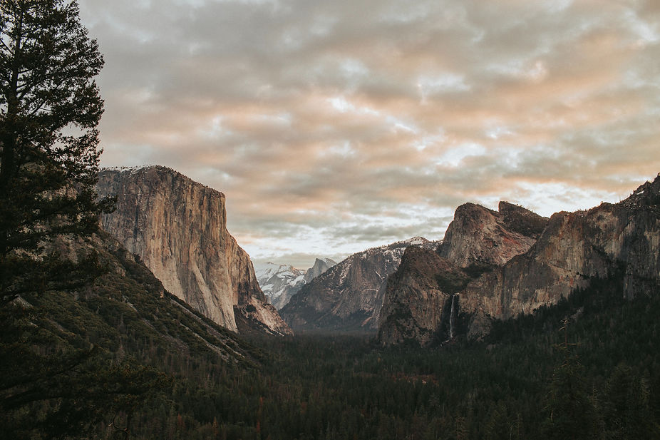 Image by Jed Villejo