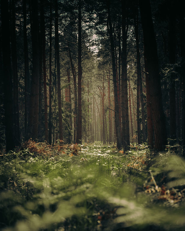 Image by Patrick Hinz