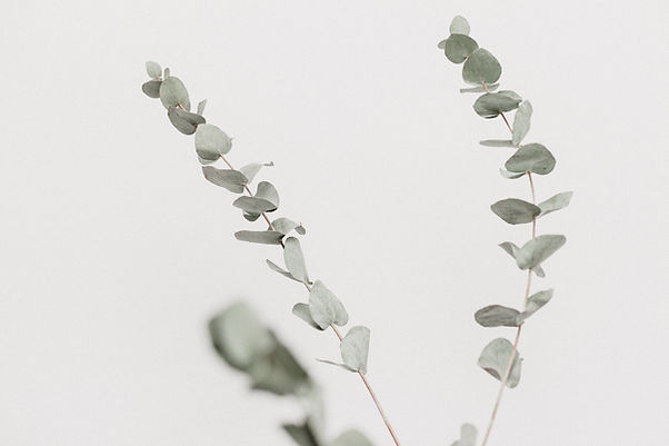 Image by Georgia de Lotz