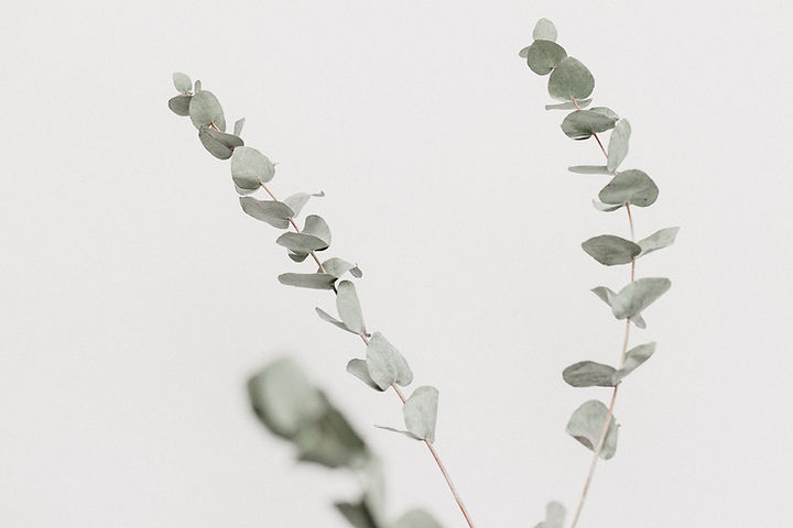 Image by Georgia de Lotz