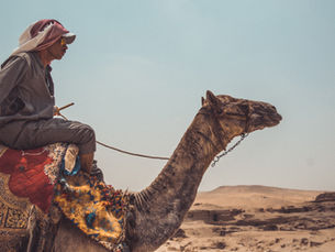 Navigating the Changing Energy Landscape: The Middle East’s Path to AI and Data-Driven Leadership