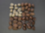 Mexico & Guatemala Coffee Bean Sampler