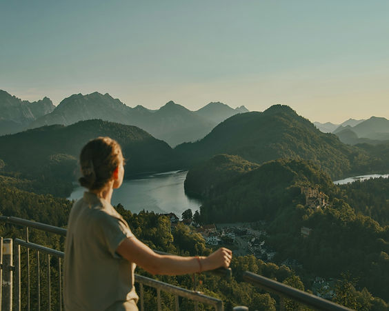 Image by Dawid Tkocz