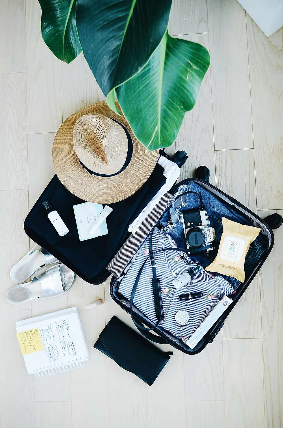 Luggage picture