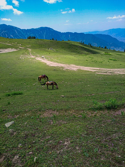 Image by Asi Abbasi