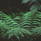 Image by dylan nolte