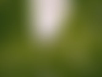 Grounding Techniques That Actually Work in a Panic