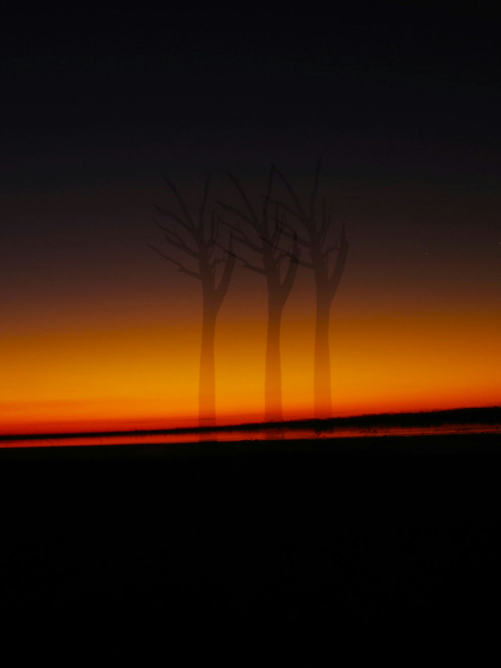 Image by Iain