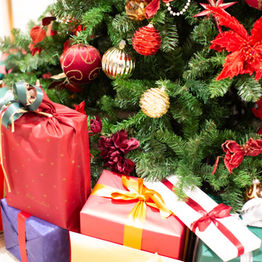 Lessons and Carols - Christmas Family Worship service on the 4th Advent! Dec 21st! 