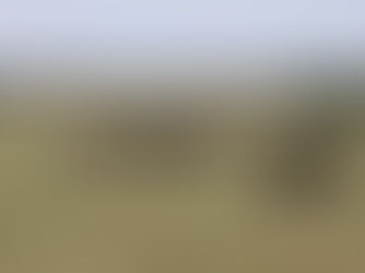 Serengeti Migration Safari from Zanzibar: When, Where, Cost, Routes & Best Itineraries