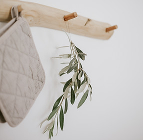 Image by Judith Frietsch