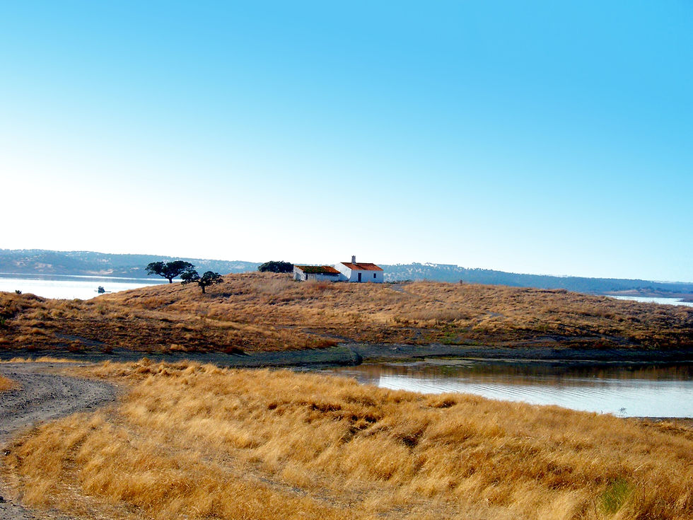 Felder im Alentejo, Portugal