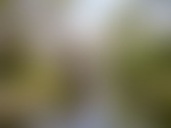 More Homes Faster Act (Bill 23) and Greenbelt Land Grabs – What's Next?