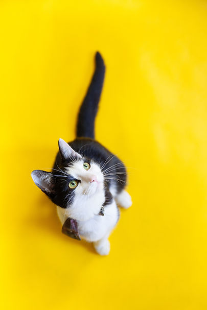 Image by Alicja Gancarz