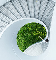 Image by Danist Soh