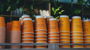 Wholesale Cardboard Cup Prices and Advantages in Purchasing