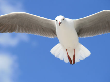 The Holy Spirit in the Old Testament
