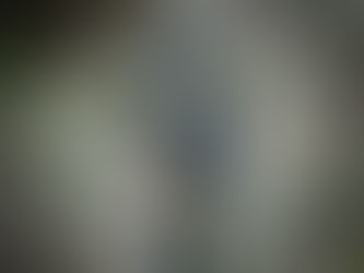 WHO IS ON THE LORD'S SIDE? 