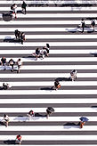 Image by Ryoji Iwata